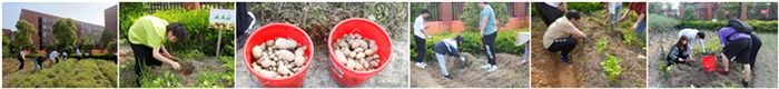 图片1_副本_副本.png