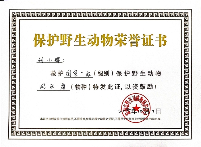 图片9.png