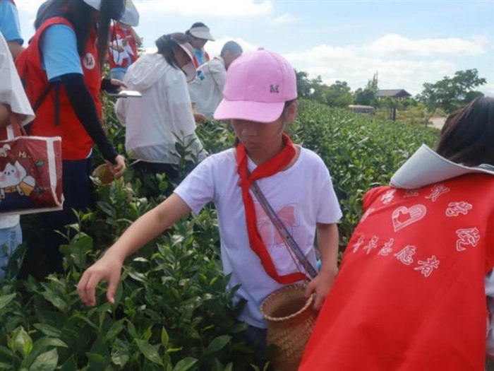 图片13.png 图片13.png