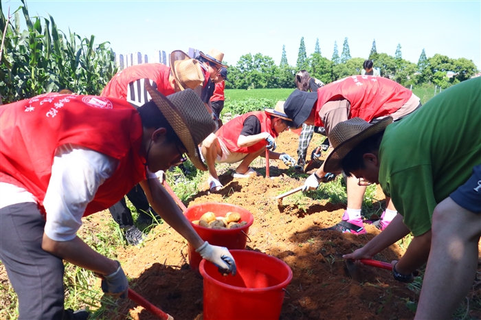 IMG_9912.JPG IMG_9912.JPG