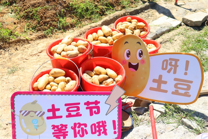 IMG_9956.JPG IMG_9956.JPG