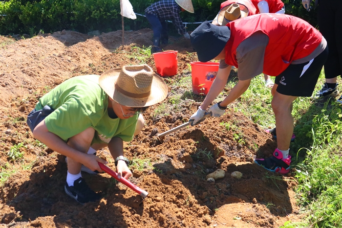 IMG_9933.JPG IMG_9933.JPG